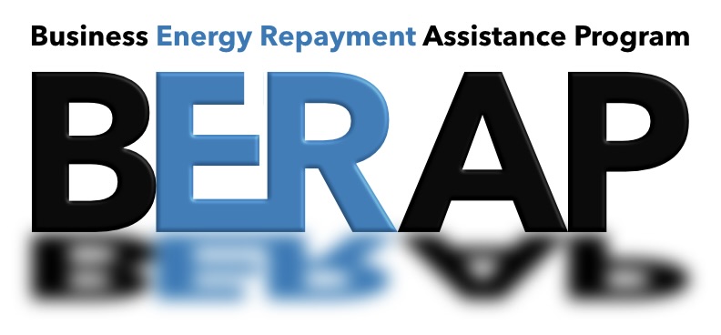 BERAP_Web.Logo.2